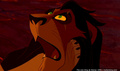 lk_screengrab_793.jpg