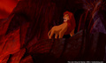 lk_screengrab_804.jpg