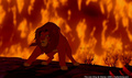 lk_screengrab_805.jpg