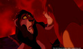 lk_screengrab_809.jpg