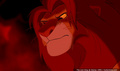 lk_screengrab_810.jpg