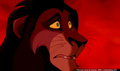 lk_screengrab_811.jpg