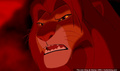 lk_screengrab_812.jpg