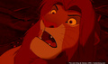 lk_screengrab_817.jpg