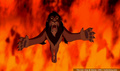lk_screengrab_818.jpg