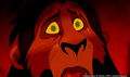 lk_screengrab_823.jpg