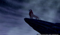 lk_screengrab_840.jpg