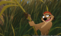sp_screengrab_080.jpg