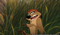 sp_screengrab_081.jpg