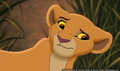 sp_screengrab_084.jpg