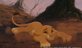 sp_screengrab_099.jpg