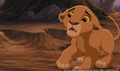 sp_screengrab_102.jpg