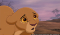 sp_screengrab_103.jpg