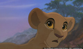 sp_screengrab_113.jpg