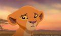sp_screengrab_203.jpg