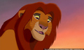 sp_screengrab_206.jpg