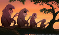 sp_screengrab_208.jpg