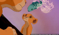 sp_screengrab_212.jpg