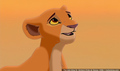 sp_screengrab_213.jpg