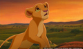 sp_screengrab_222.jpg