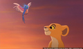 sp_screengrab_228.jpg