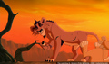 sp_screengrab_233.jpg