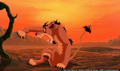 sp_screengrab_238.jpg