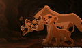sp_screengrab_286.jpg