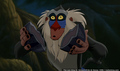 sp_screengrab_298.jpg