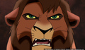 sp_screengrab_313.jpg
