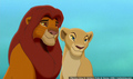 sp_screengrab_319.jpg