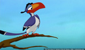 sp_screengrab_321.jpg
