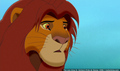 sp_screengrab_325.jpg
