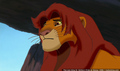 sp_screengrab_336.jpg