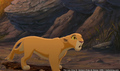 sp_screengrab_357.jpg