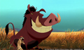 sp_screengrab_362.jpg