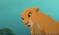 sp_screengrab_363.jpg