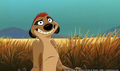 sp_screengrab_366.jpg