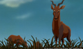 sp_screengrab_374.jpg