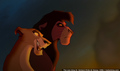 sp_screengrab_380.jpg