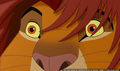 sp_screengrab_382.jpg