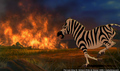sp_screengrab_385.jpg