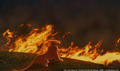 sp_screengrab_386.jpg