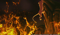 sp_screengrab_390.jpg