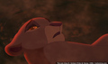 sp_screengrab_393.jpg