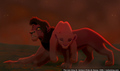 sp_screengrab_396.jpg