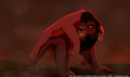 sp_screengrab_397.jpg