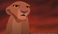sp_screengrab_409.jpg