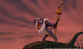 sp_screengrab_425.jpg