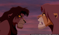 sp_screengrab_427.jpg